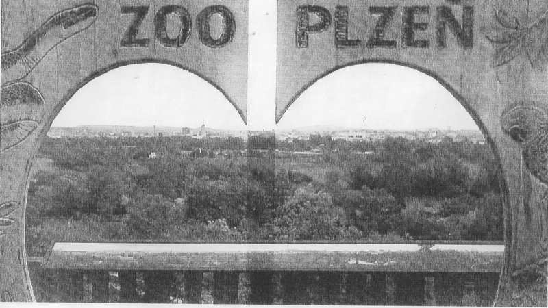 Zoofamily – ispis na termopapir